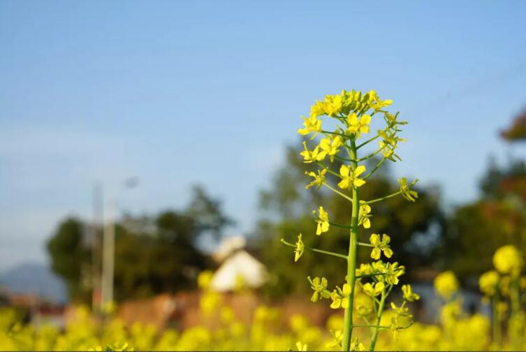 春季該如何預(yù)防控制高血壓？