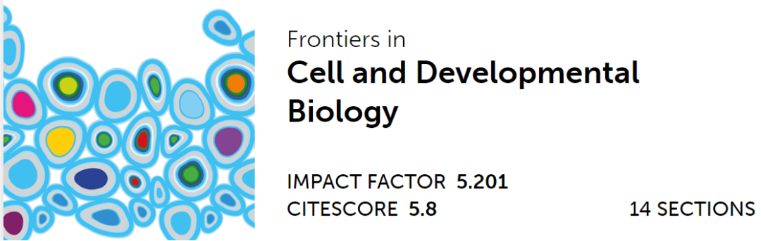 心臟病醫(yī)院王海昌院長科研團隊在心肌病研究領(lǐng)域有新突破！