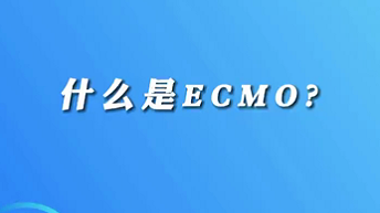 【名醫(yī)面對面之心臟100問】什么是ECMO？