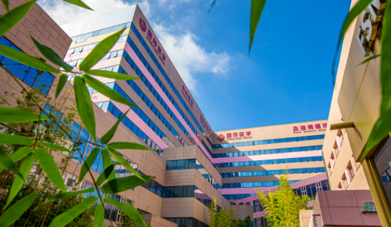 國(guó)醫(yī)四味：竹林、紫杉、桂花、銀杏，還有那……