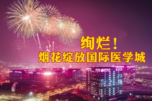 絢爛！煙花綻放國(guó)際醫(yī)學(xué)城